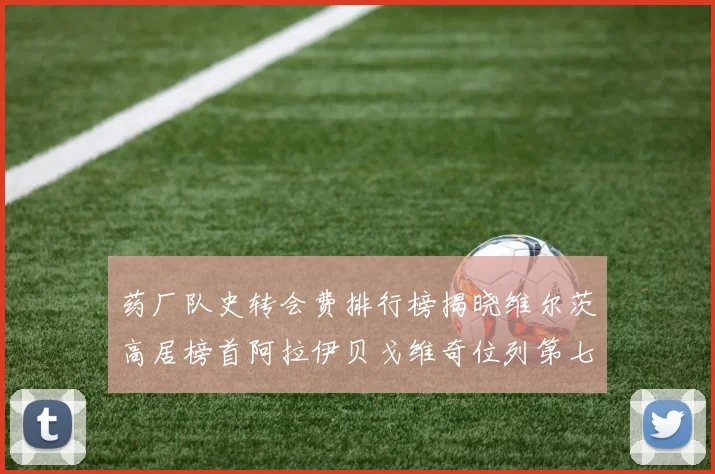 药厂队史转会费排行榜揭晓维尔茨高居榜首阿拉伊贝戈维奇位列第七